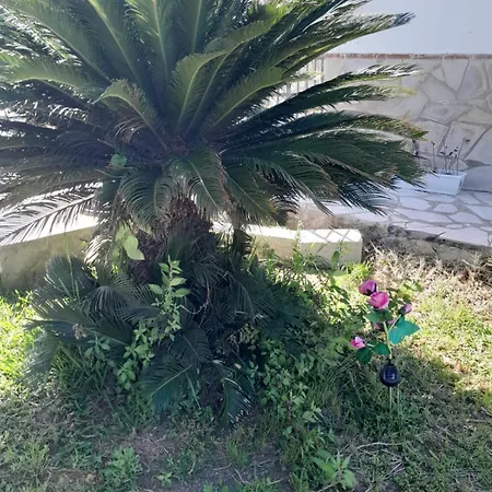 La Rana Azul
