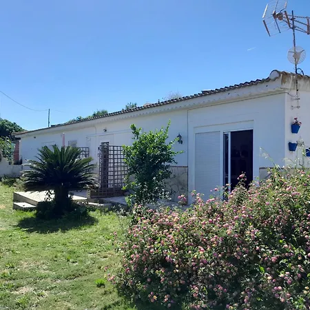 La Rana Azul